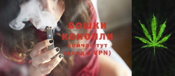 ПСИЛОЦИБИНОВЫЕ ГРИБЫ Абаза