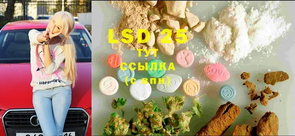 ПСИЛОЦИБИНОВЫЕ ГРИБЫ Абаза