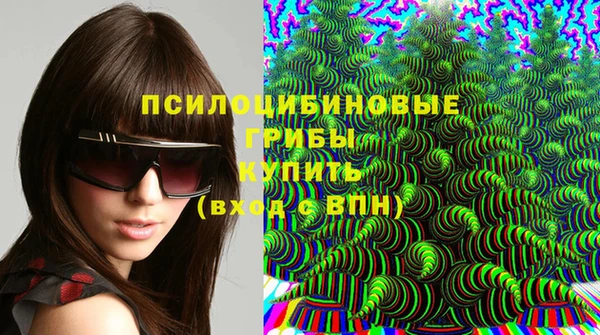 СК Абдулино