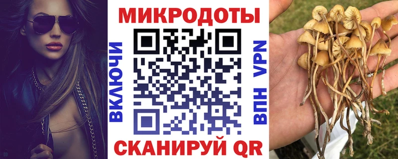 Галлюциногенные грибы GOLDEN TEACHER  darknet как зайти  Фрязино 