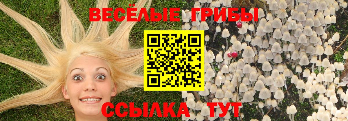 Фрязино  Галлюциногенные грибы ЛСД  Вход с VPN  Псилоцибиновые грибы Psilocybe 