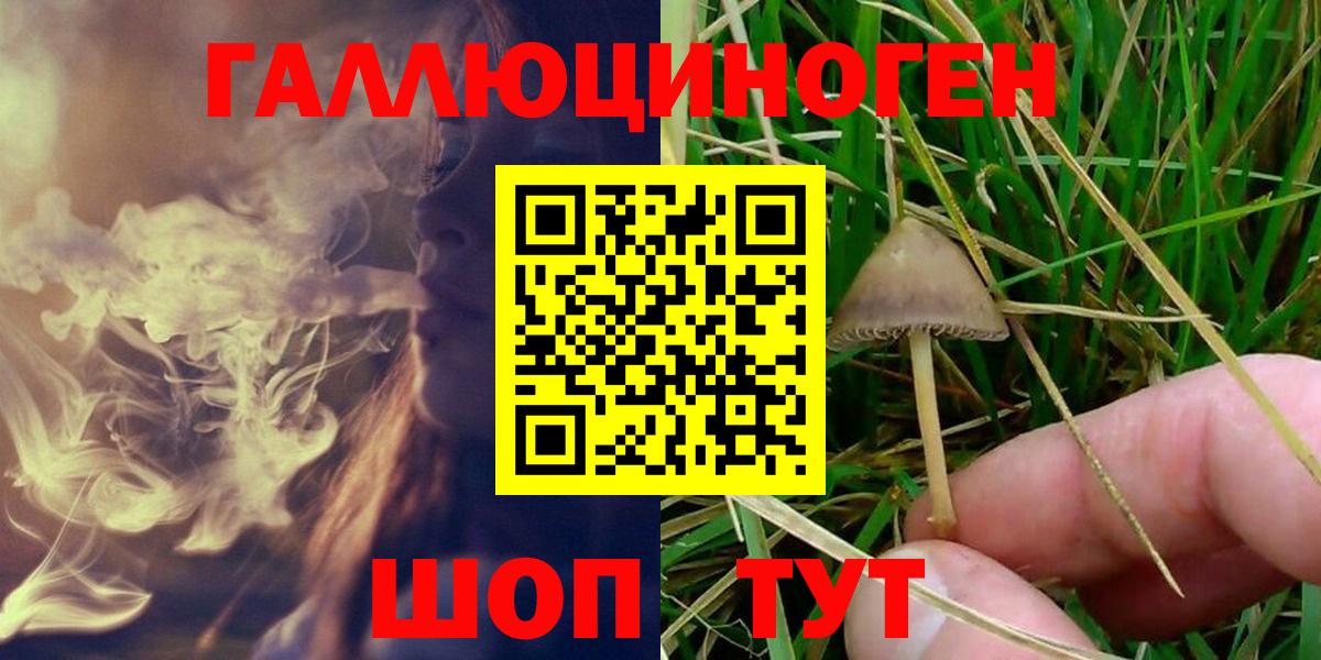 Псилоцибиновые грибы MAGIC MUSHROOMS Фрязино