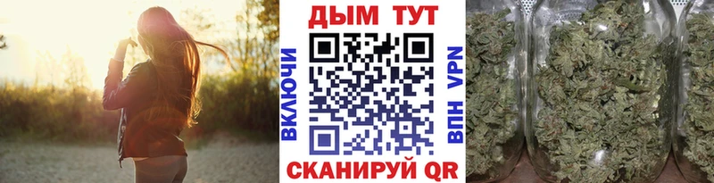 магазин продажи   Фрязино  Конопля White Widow 